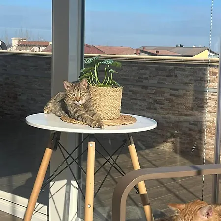 La Terrazza Polifrone Bed & Breakfast