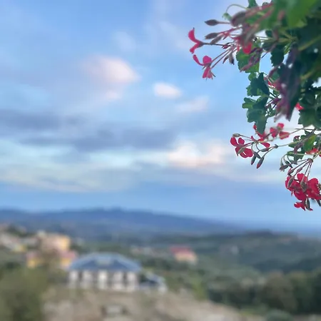 Panzió La Terrazza Polifrone