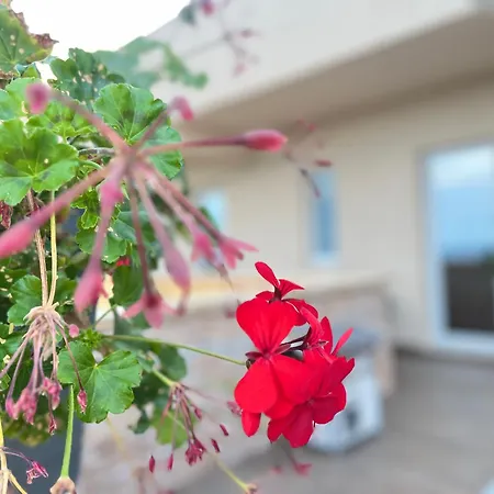 Panzió La Terrazza Polifrone Cotronei