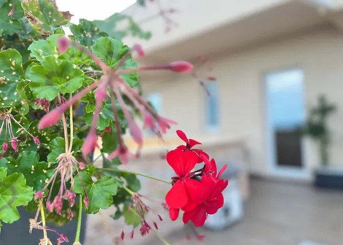 Bed & Breakfast La Terrazza Cotronei